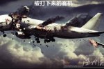 伊斯蘭國IS組織宣布對俄客機墜毀負責