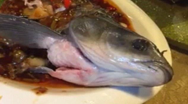 廣州餐館現僵尸魚