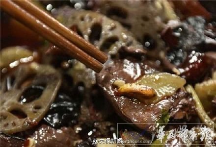 成都餐館飯菜中吃出蟲(chóng)蛹