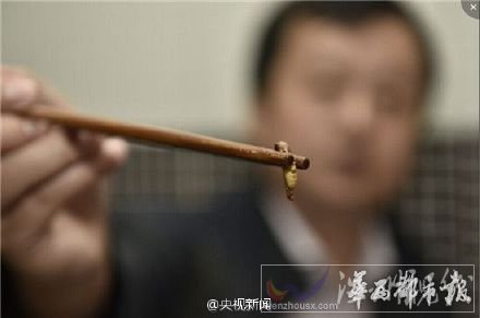 毛血旺中吃出一個(gè)蟲(chóng)蛹