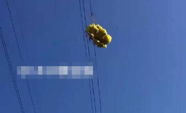 男子玩滑翔傘遇險(xiǎn)