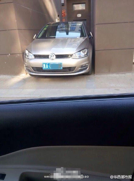 女司機(jī)霸氣停車