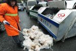 武漢農民街頭賣棉花被城管燒掉