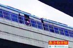 雨傘逼停地鐵 深圳地鐵3號線被一把雨傘逼停