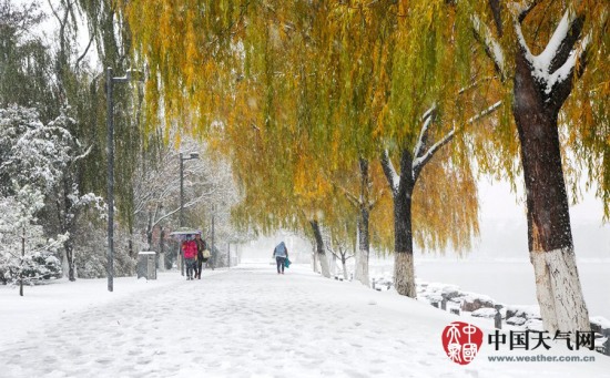 延慶暴雪
