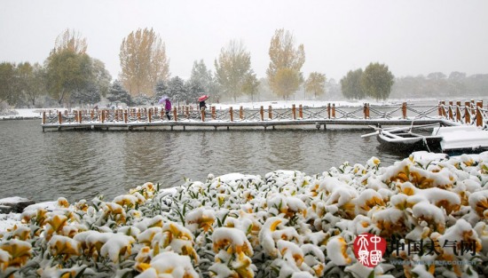 延慶暴雪
