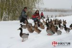延慶暴雪 2015年11月5日開始延慶下暴雪