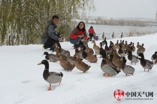 延慶暴雪