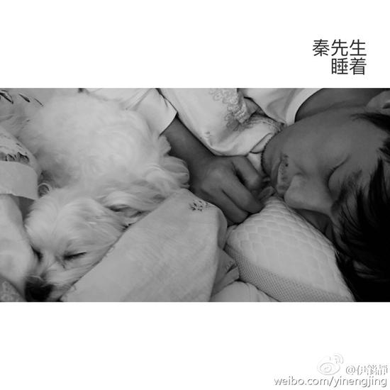 秦昊睡著