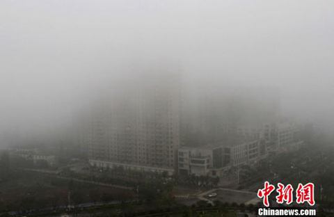 廣西大霧 3月16日廣西欽州強濃霧