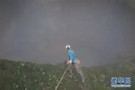 廣西現(xiàn)420米天坑 地下洞穴長16.5公里