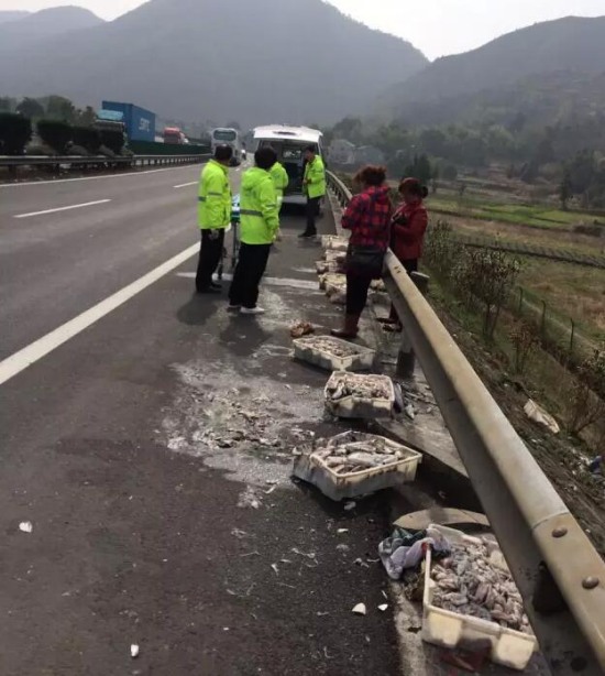 樂清高速車禍