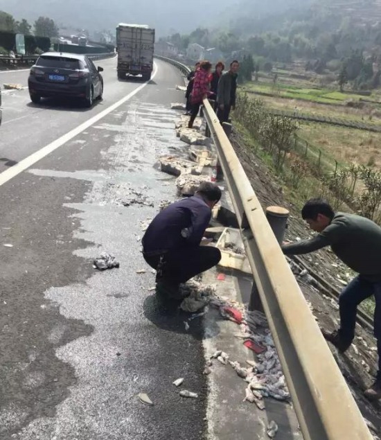 樂清高速車禍