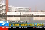 王娜娜事件調查結果