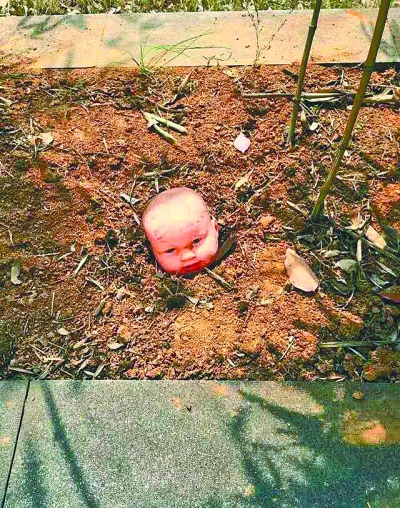 花壇里長出娃娃