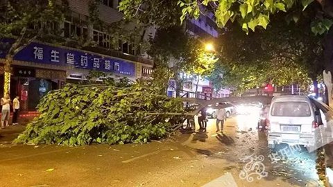 重慶暴雨