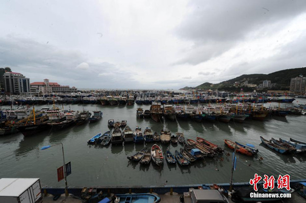 福建防御臺風尼伯特