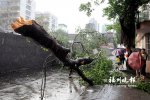 福州強對流天氣 瞬時大風堪比臺風