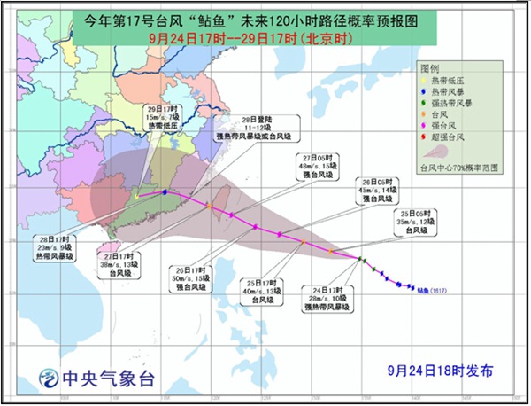 福建臺風鲇魚