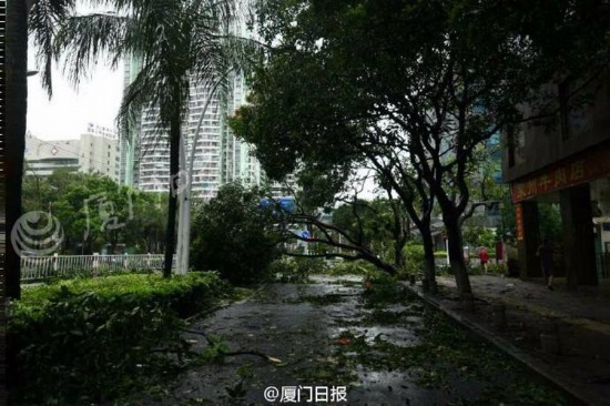 臺風(fēng)莫蘭蒂襲擊廈門