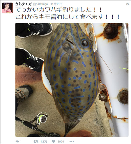 吃魚前曬照撿回命