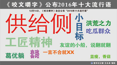 2016年十大流行語(yǔ)