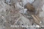 南昌挖出古墓 位置在南昌市迎賓北大道