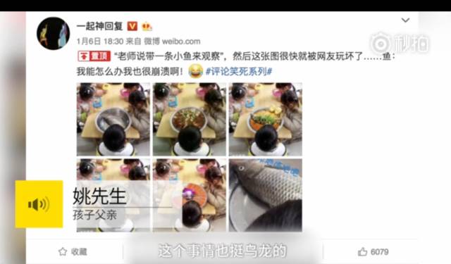 帶魚孩子刷爆網絡
