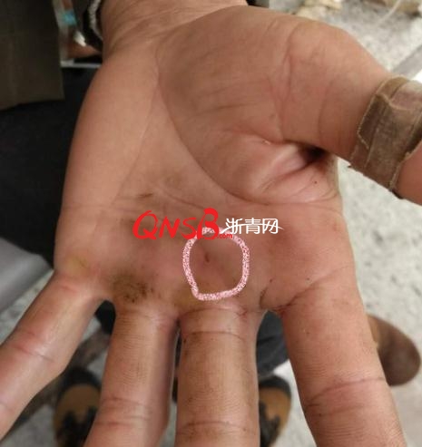 男子踏青遇70cm長(zhǎng)蛇