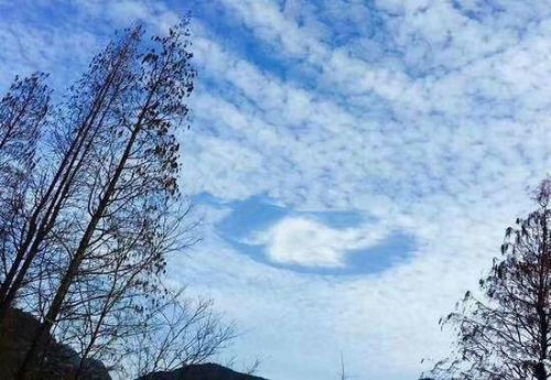 愛心云虐網(wǎng)友一臉