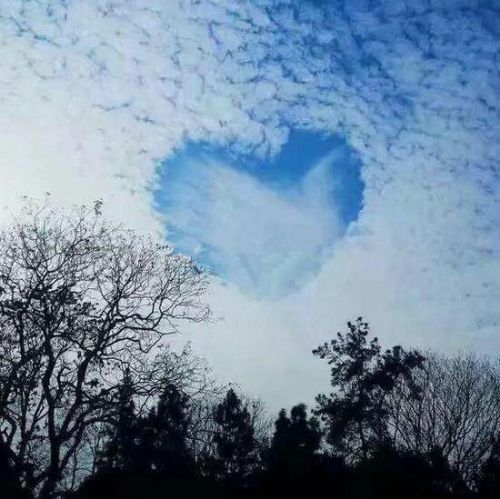 愛心云虐網(wǎng)友一臉