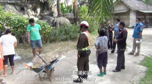 泰國巨型蜥蜴吃掉嬰兒