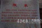 神奇雙泉一甜一咸