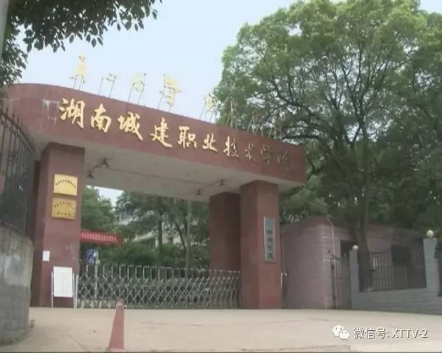 談戀愛不得入黨