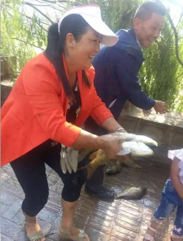 車側(cè)翻魚兒遭哄搶