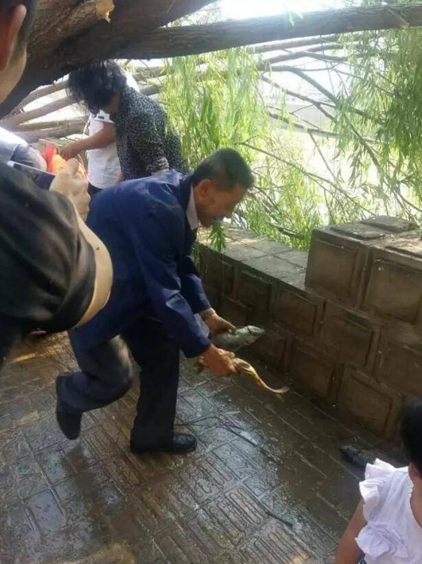車側(cè)翻魚兒遭哄搶