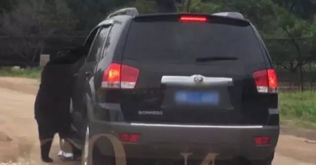 游客開車窗喂熊