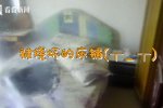 熊孩子放火燒房