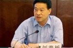 湖北政協副主席劉善橋被雙開