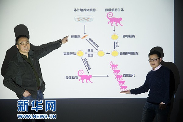 生命科學(xué)重大突破