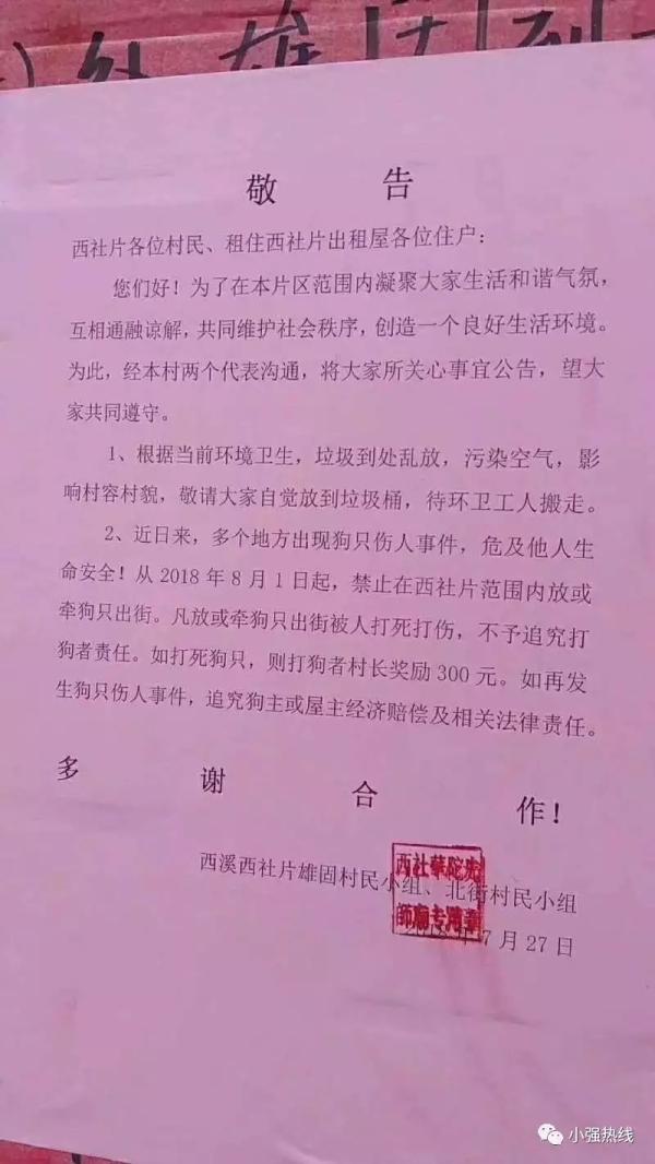打死1只狗獎(jiǎng)300