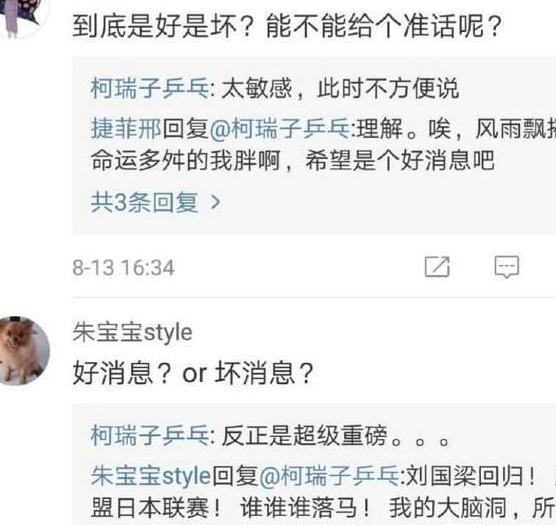 國(guó)乒將出重磅消息