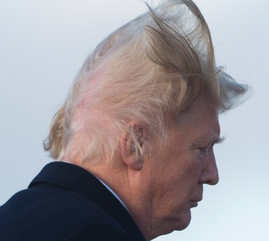 因雨取消一戰紀念 特朗普遭譴責