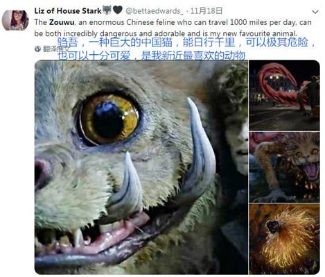 上古神獸圈粉無數 神奇動物2上古神獸騶吾