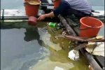 泉州空氣異味事件