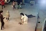 洋縣最美女護士劉丹
