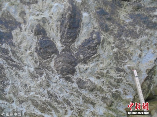 英國發現恐龍腳印化石