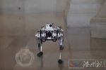 米特的新迷你獵豹機器人