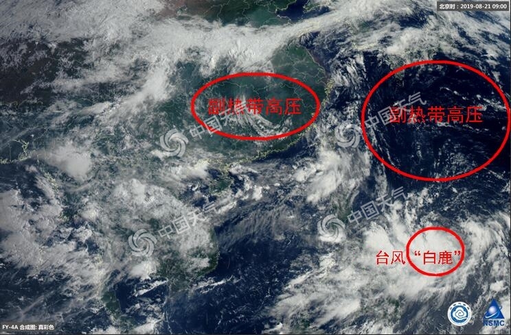 臺風(fēng)白鹿登陸哪里 11號臺風(fēng)路徑分析