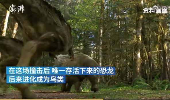 恐龍滅絕小行星當(dāng)量可能超過上千億噸